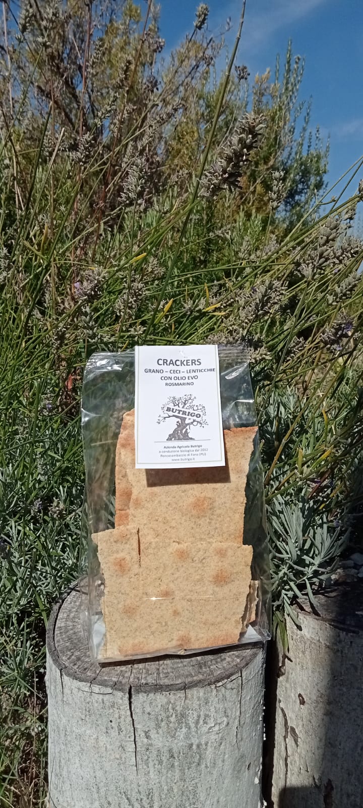 Crackers con farina di ceci, lenticchie e grano tenero, rosmarino