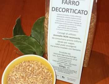 Orzo decorticato